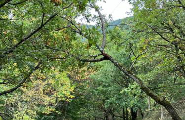 Chateau appartement tussen Mont Ventoux en Luberon - Foto 31