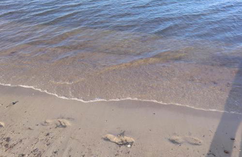 Böltser Hus Ferienwohnungen mit Strandkorb und Kamin 10 Gehminuten zum kurtaxefreien Sandstrand - Foto 61