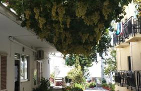 Sofia Studios & Apartments - Foto 49