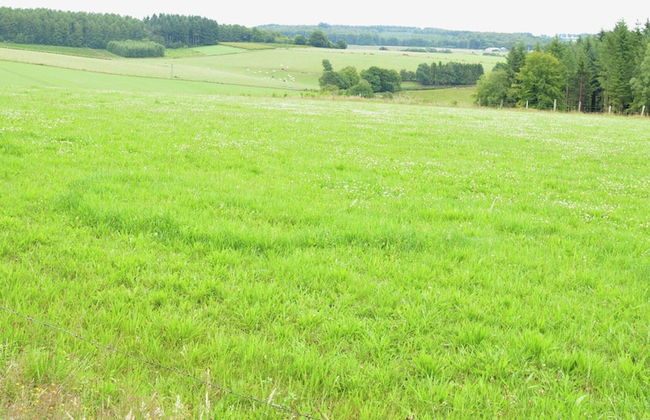 Cozy Mobile Home in Vresse-sur-semois With Terrace - Foto 25