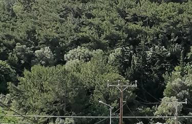 Lefteris Rooms - Foto 8