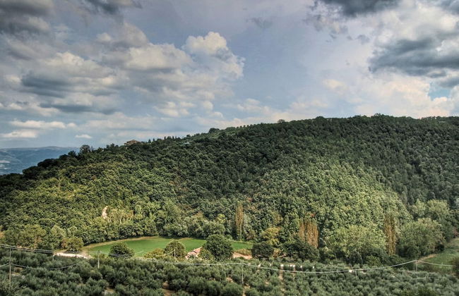 Cottage in Bettona With Pool & Near Assisi - Photo 38