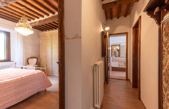 Alighiero II - Foto 25