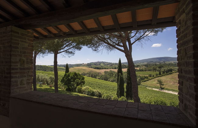 Mormoraia - Photo 50