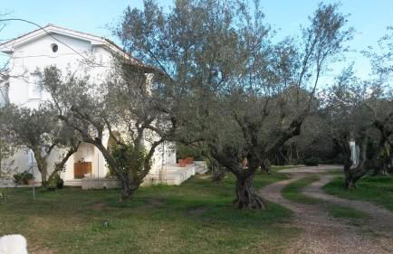 Villa Feia - Photo 28