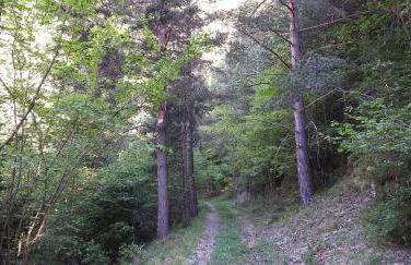 Apartament SIAT - Foto 36