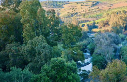 The Dragonfly Retreat - Photo 24