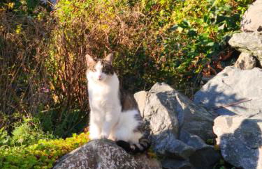 Am Quellenhäuschen - Foto 41