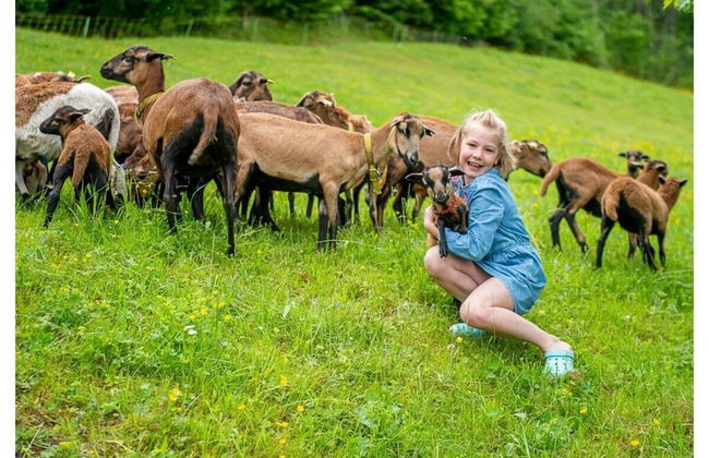 Infanglalm "attersee" - Foto 3