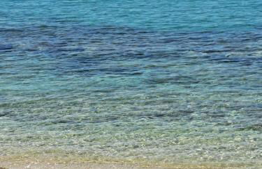 Elegance apartment - Foto 40