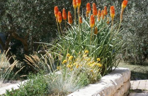 Apartment Maslina - Foto 46