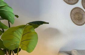 Apartamento Las Olas - Foto 31