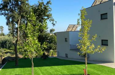 Quintinha Silvestre - Foto 44