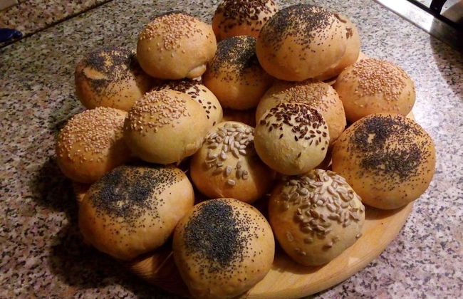 Fattoria L'Olmetto - Foto 46