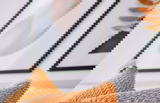 Hotel Chalé Capitólio - Foto 4