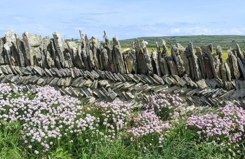 Smugglers Cottage - Foto 22