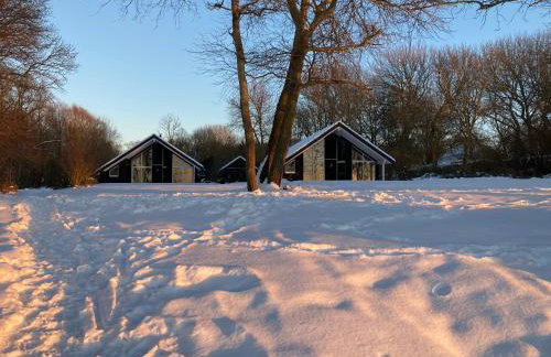 Ferienhäuser Boddenstrand - Foto 17