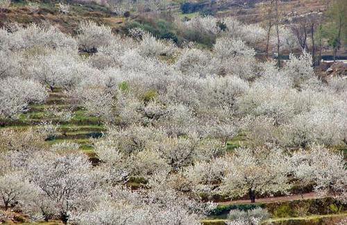 Casa Rural Las Picotas - Foto 29