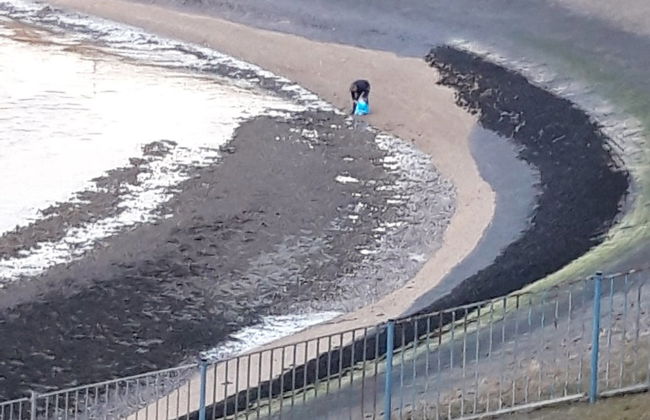 Cozy Holiday Home with Hot Tub in Lauwersoog by Lake - Foto 19