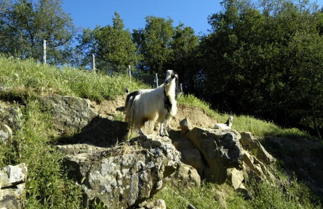 A Vineyard Apartment Retreat - Foto 44