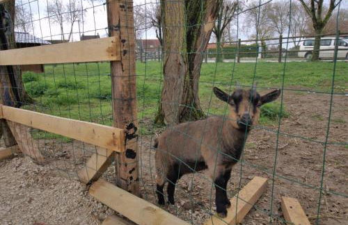 Le chalet dans la prairie - Foto 22