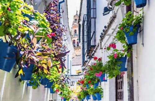 Alojamiento entero, centro de Córdoba con cochera - Foto 4