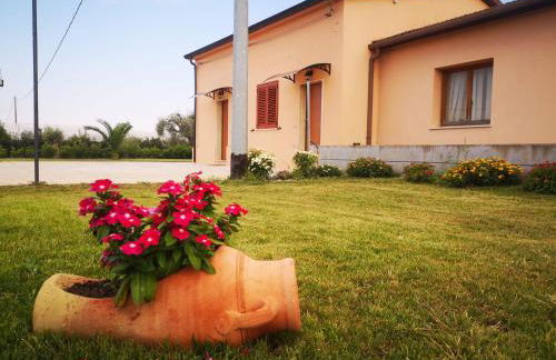 Villa Anna Maria - Photo 3