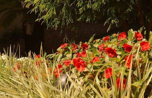 LOCAR-IN GRAMADO Monte Cervino Centro - Foto 44