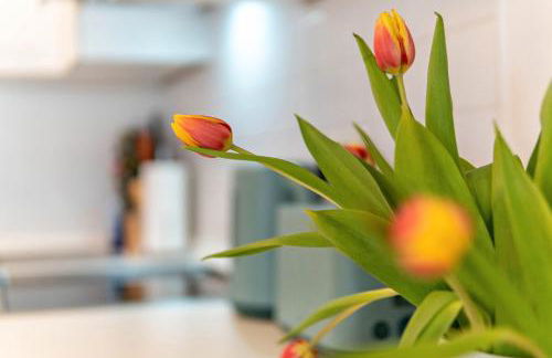 Fewo mit Terrasse - Hunde erwünscht - Foto 14