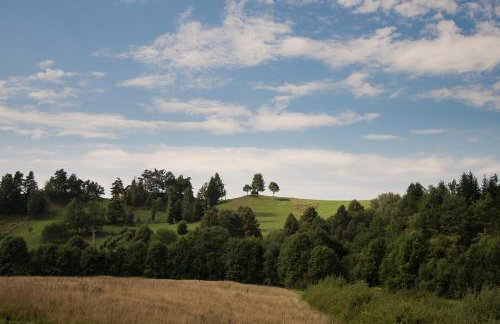 Na Wzgórzu Domki z Bali -Jacuzzi, Balia, Spa - Photo 29