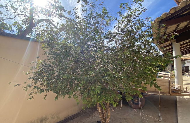 Sobrado - Px JK 5 quartos e 3 suites - Foto 36