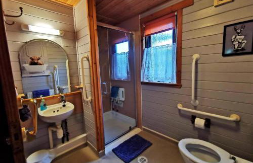 Glen Bay - 2 Bed Lodge on Friendly Farm Stay with Private Hot Tub - Foto 17