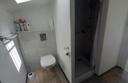 La colombe - Photo 18