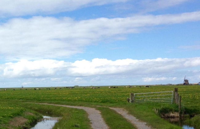 Chic Beachside Stay w/ Sauna - Foto 23