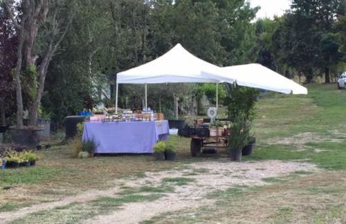 Dolce vita sur la colline de Turin - Foto 28