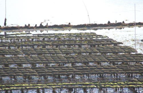 Le Gîte de l'Amer - T2 - Duplex - Centre Bourg - Photo 32