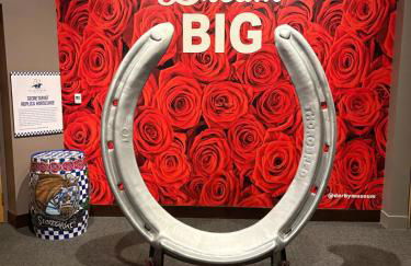 Opulence On Oak Street - Foto 28