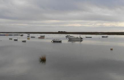 Cabanas Garden By HnM - Photo 21