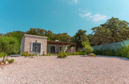 Oliveto A Flumine - Experientia Villa - Photo 5