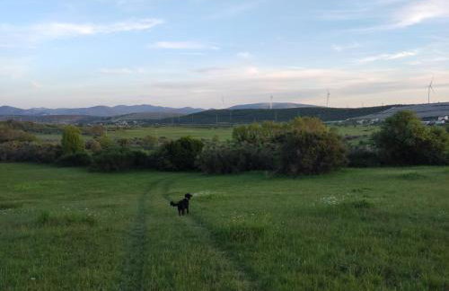 Holiday House Mablo with pool & jacuzzi - Photo 34