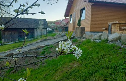 BIESZCZADZKA Antosiówka - Foto 32