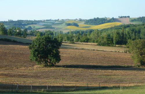 Domaine de Massoulac - Foto 30