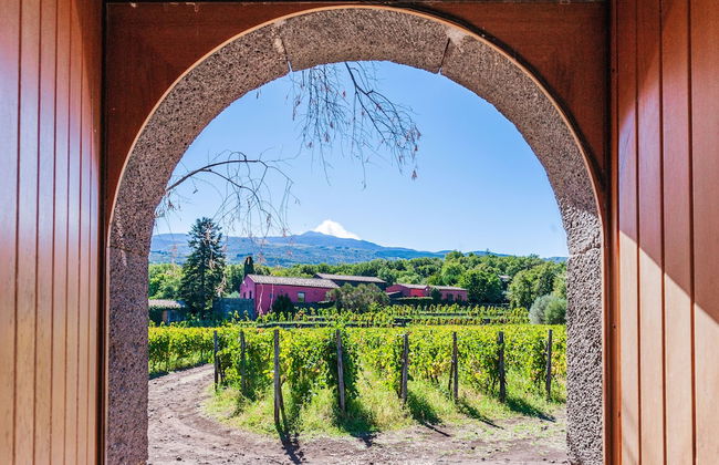 Terrazze dell'Etna - Rooms & Apartments - Foto 39