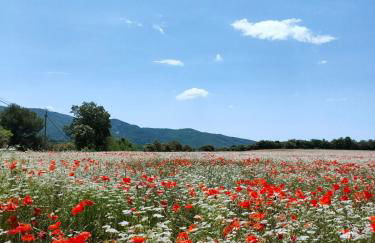 Charming house in Provence, 2 to 10 people - Foto 28