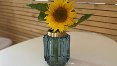 Apartment 1 Zimmer - Foto 3