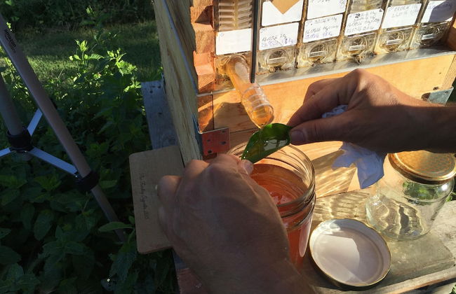 Casale Della Pergola With Cottage Sugarcane Pool - Foto 45