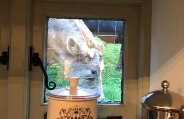 Glanrhyd cottage - Foto 13