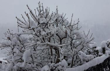 Albert - Bon Di - Foto 21