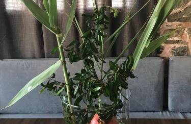 Farmers House - Foto 38