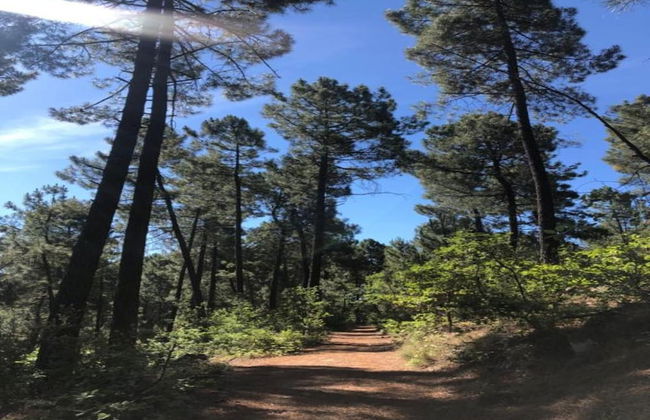 Authentic Stone Mas Retreat - Foto 31